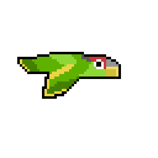 Charles the parrot
